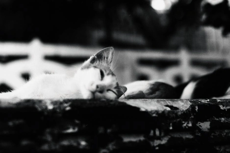 Kreativní typografický design symbolizující tvorbu obsahu